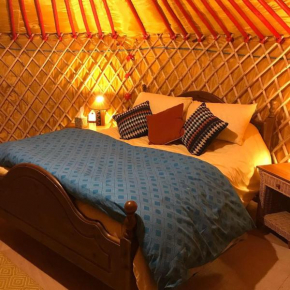 McClure Yurt at Carrigeen Glamping, Kilkenny